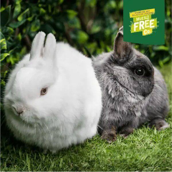 Two adorable rabbits, one white and one grey, sitting on green grass with a Muesli Free sign.