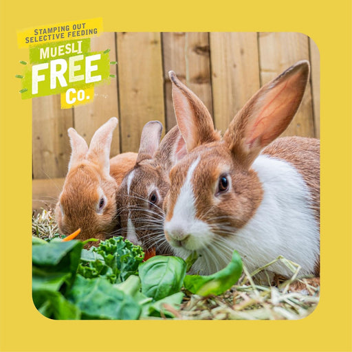 Burgess Excel Natures Blend Adult Rabbit Nuggets 1.5kg - Buy Online - Jungle Aquatics