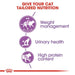 Royal Canin Sterilised 37 Cat Food 2kg - Buy Online - Jungle Aquatics
