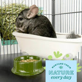 Chinchilla enjoying a dust bath in a cozy tub with food dish in a well-maintained habitat.
