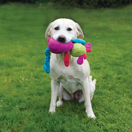 Lab dog holding a colorful Chubleez Chloe Cow toy in a green outdoor setting, showcasing its plush and multi-textured design.