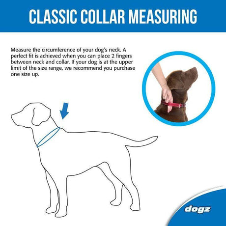 Illustration of dog collar measuring technique, showing placement of fingers for proper fit around a dog's neck.