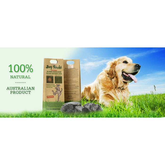 Dog Rocks 200g - Buy Online - Jungle Aquatics