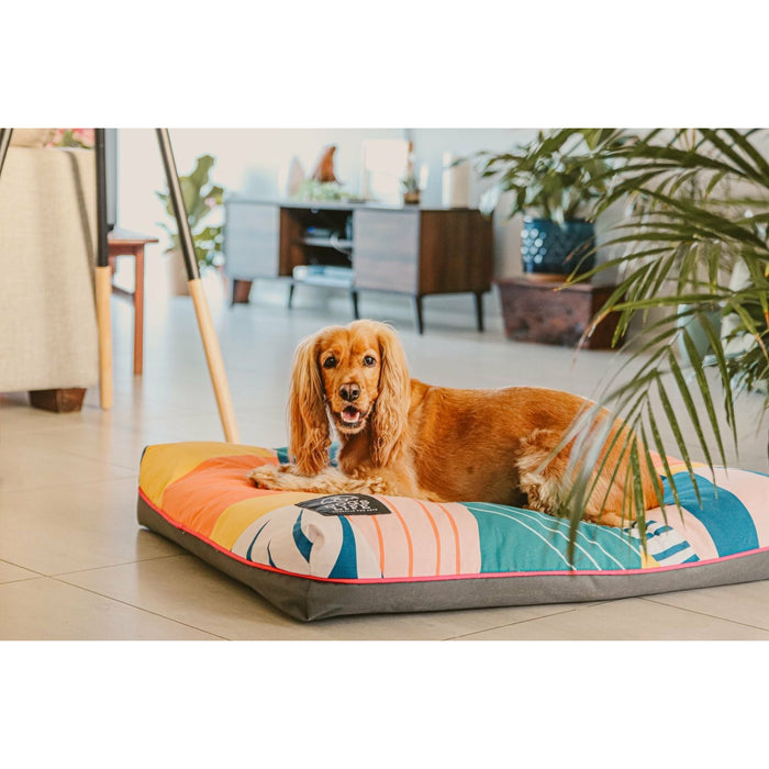 Dog's Life Box Pad Woof Helix - Buy Online - Jungle Aquatics