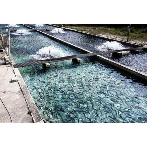 Industrial wastewater treatment facility with clear water and aeration systems.