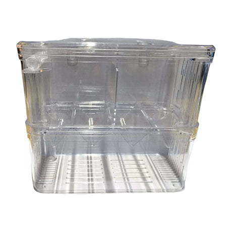 Clear fish isolation and breeding boxes designed for safe aquatic pet care and breeding environments.