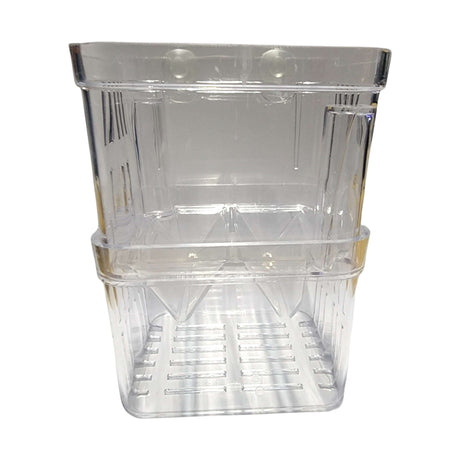 Clear Fish Isolation and Breeding Boxes for safe breeding and nurturing of aquatic pets in aquariums.
