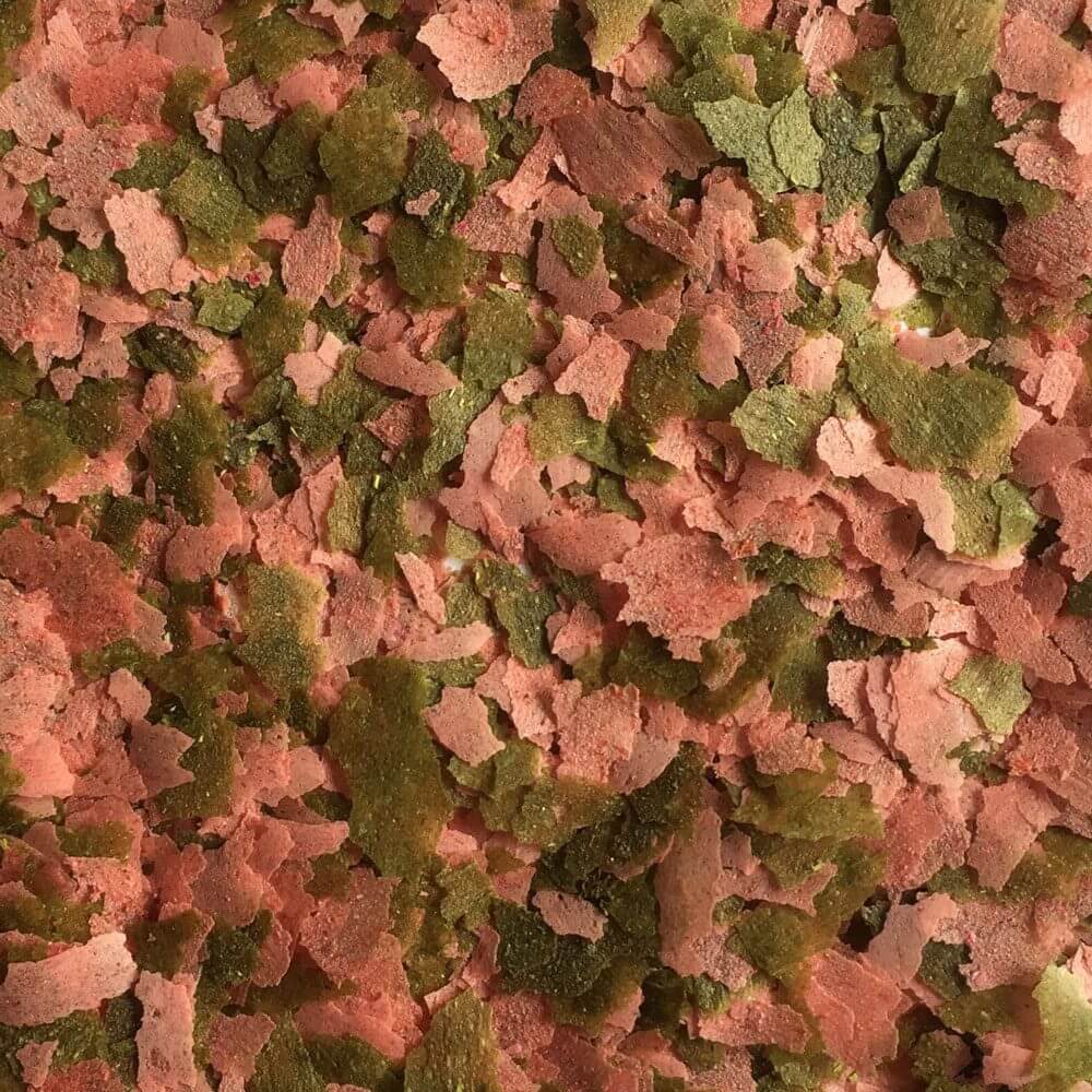 Close-up of Fish Science Goldfish Flakes featuring vibrant colors from spirulina, shrimp, and purple carrot for enhanced fish nutrition.