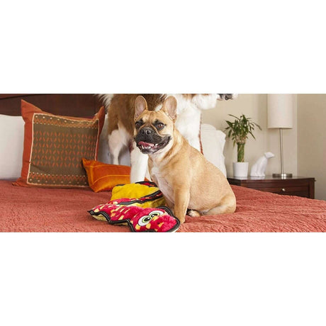 French Bulldog playing with Tough Seamz Snake 6 Squeaker toy on a bed with pillows in a cozy living room setting.