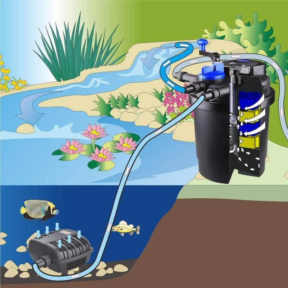 Grech Pond Bio Pressure Filter with UV Light in a garden pond setting, illustrating water flow and filtration system setup.