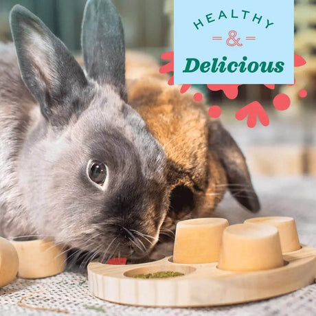Two rabbits enjoying healthy and delicious treats from a wooden feeding station.