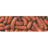 Hikari Tropical Food Sticks for carnivorous fish, nutrient-rich formula for optimal growth and health.