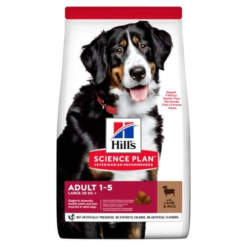 Hill's Science Plan Adult Large Lamb & Rice dog food 12kg bag featuring a happy dog on packaging.
