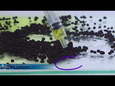 Aquarium Smiths Fish Dewormer syringe dispensing treatment over fish food pellets.