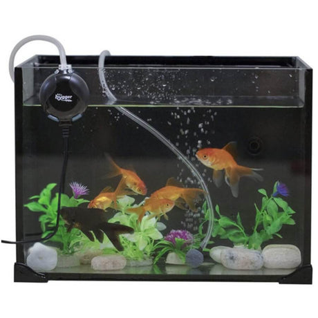 Hygger Mini Air Pump in a vibrant aquarium with colorful fish and aquatic plants, showcasing ultra-quiet operation.