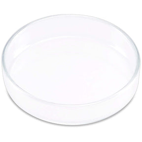 Ista Shrimp Feeding Dish, elegant clear glass tray for targeted feeding of bottom-dwelling aquatic animals. Easy to clean.