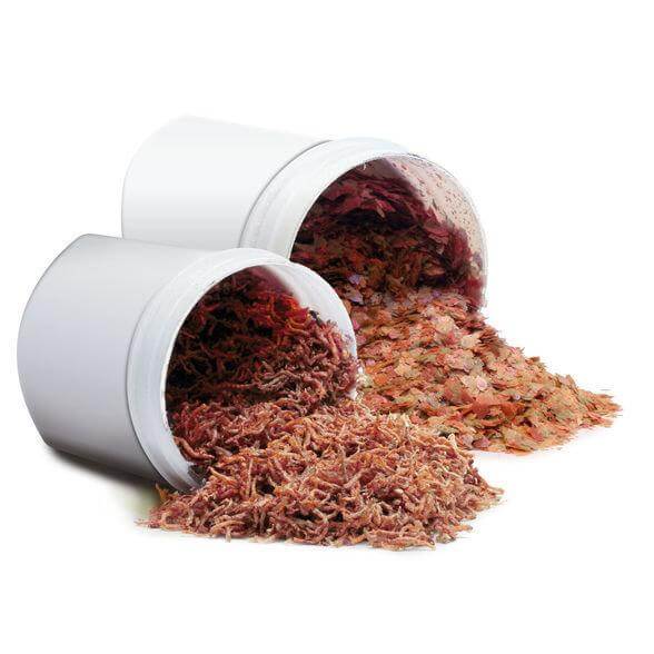 Two opened containers of fish food, one with flake food and the other with dried shrimp, spilled on a surface.