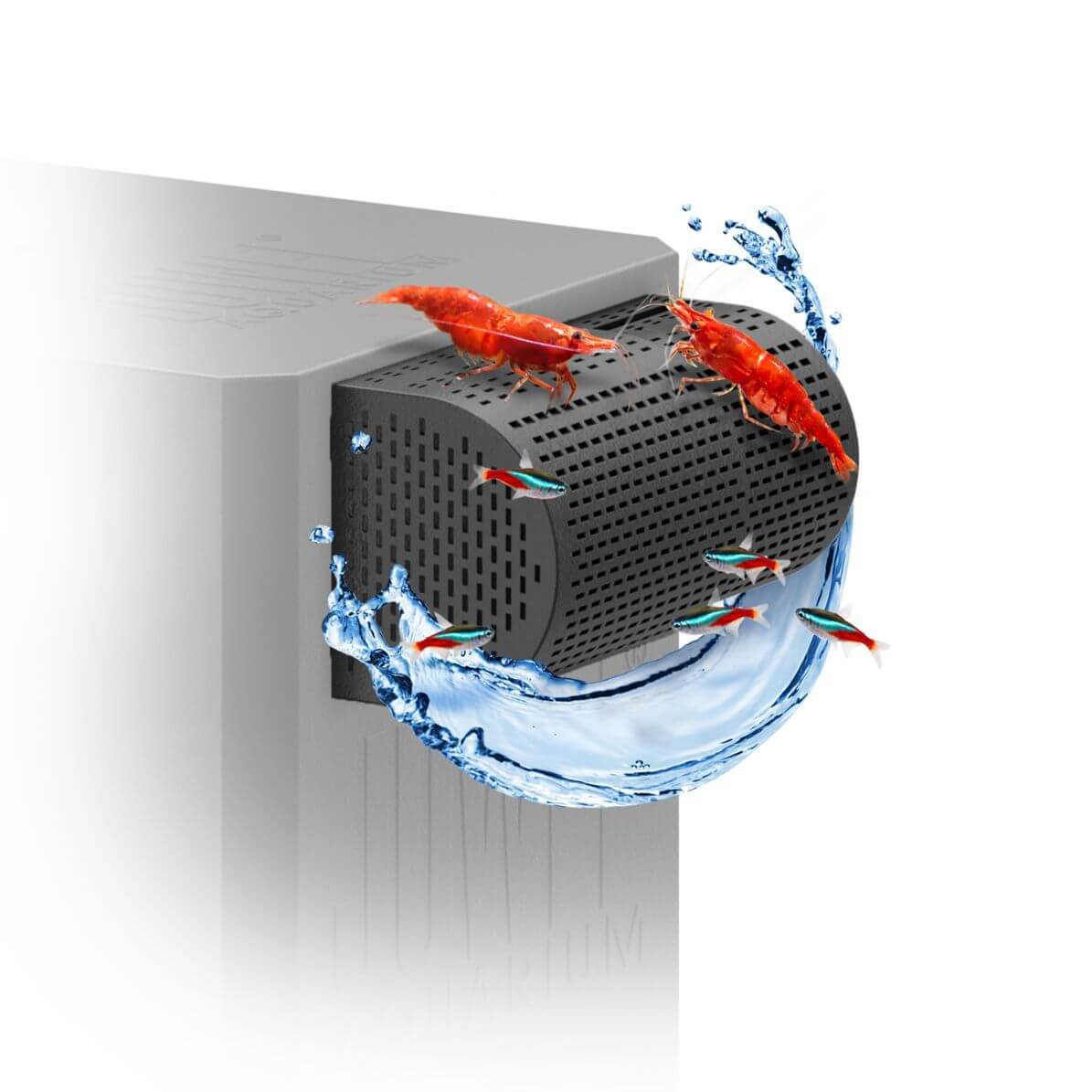 JUWEL FilterGrid with shrimp and water flow, designed for JUWEL Bioflow Filter, prevents small fish and shrimp intake.