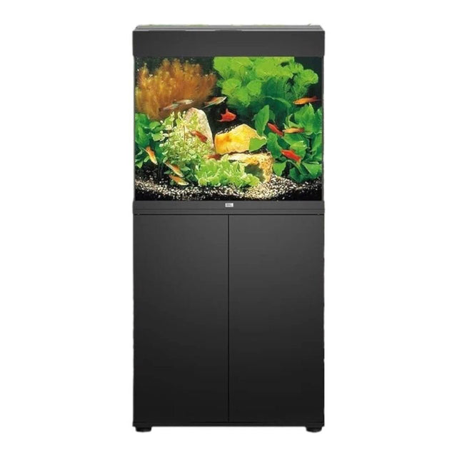 Juwel Lido Aquarium with Cabinet featuring vibrant plants and fish, perfect for fresh and saltwater environments.