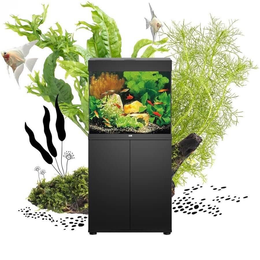 Juwel Lido Aquarium with cabinet showcasing vibrant fish and aquatic plants in a stylish black design.