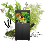 Juwel Lido Aquarium with cabinet showcasing vibrant fish and aquatic plants in a stylish black design.