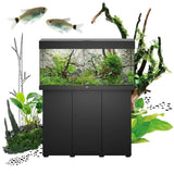 Juwel Rio aquarium with cabinet, featuring lush plants and fish, showcasing elegant aquatic design and craftsmanship.