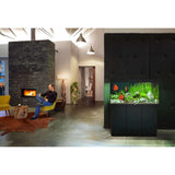 Modern living room featuring Juwel Rio Aquarium showcasing vibrant fish and lush plants, enhancing the elegant decor.