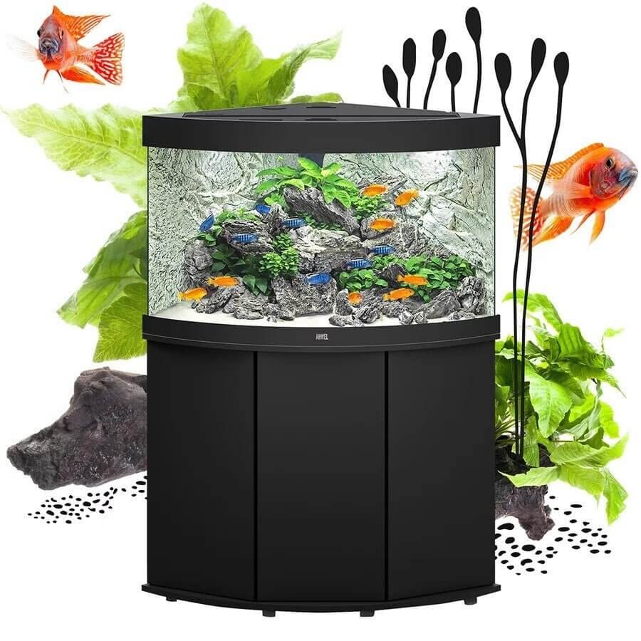 Juwel Trigon Aquarium with black cabinet, vibrant fish, and lush aquatic plants creating a decorative corner display.
