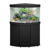Juwel Trigon Aquarium and Cabinet
