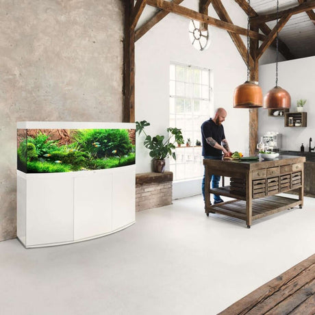 Juwel Vision Aquarium with cabinet in a modern kitchen setting, showcasing lush aquatic plants and elegant design.