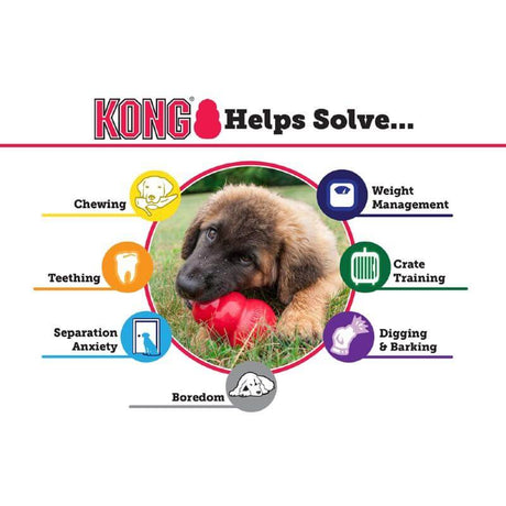 KONG Extreme dog toy benefits infographic highlighting solutions for chewing, teething, boredom, and more.