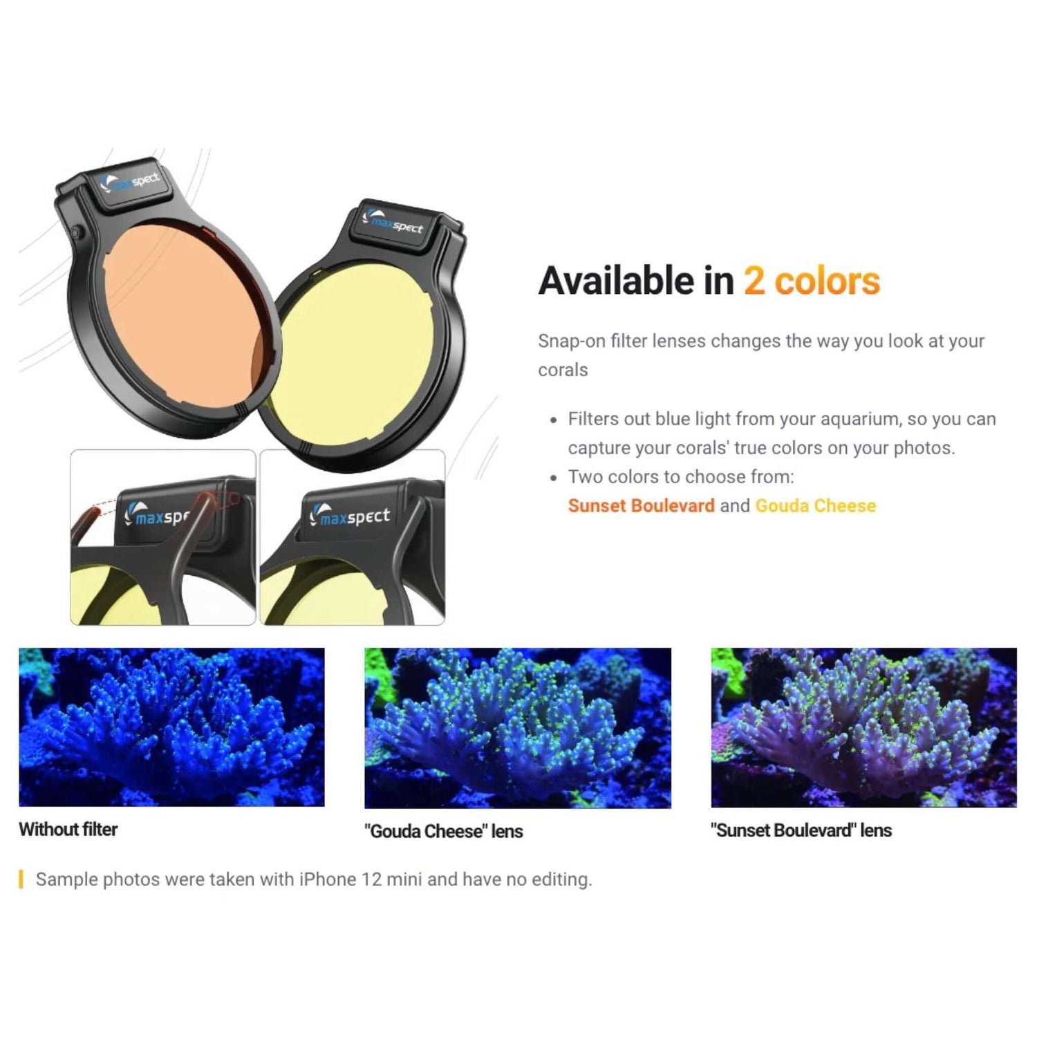 Maxspect Snap-On Filter Lenses in Sunset Boulevard and Gouda Cheese colors for enhanced coral photography.