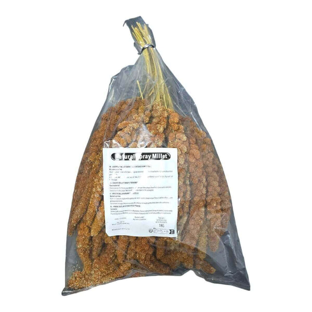 Millet Spray 1kg in a clear bag, providing a natural treat for birds with a textured appearance.