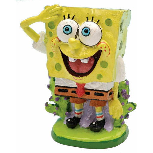 Mini Spongebob - Buy Online - Jungle Aquatics
