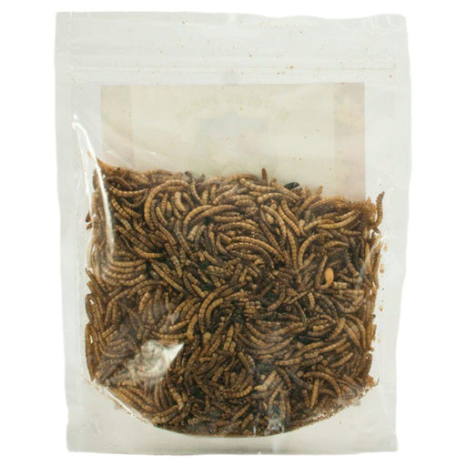 Natures Feeds Dried Mealworms 100g - Buy Online - Jungle Aquatics