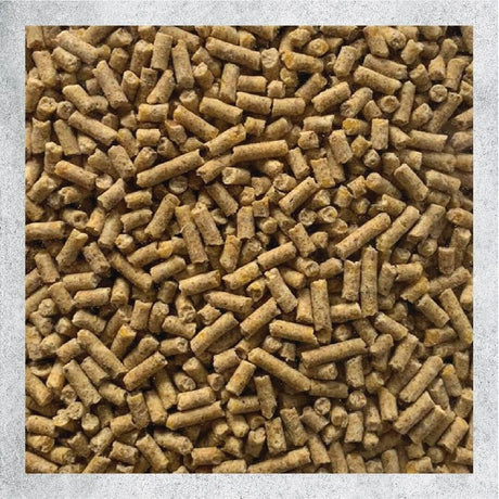 close-up of Nature’s Nest Avian Complete bird food pellets, showcasing quality nutrition for pet birds.