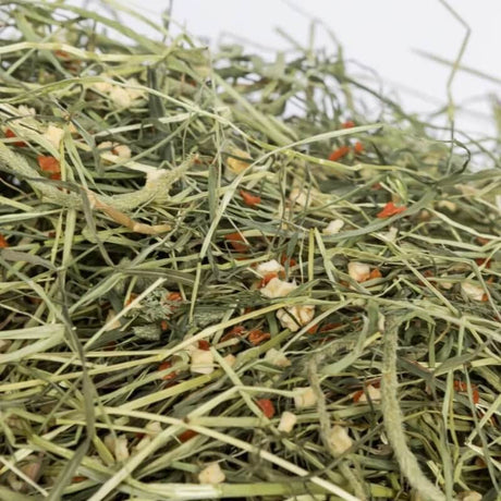 Close-up of Newhay Timothy Hay with Carrot and Apple, showcasing the fibrous texture and natural ingredients.