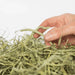 Newhay Timothy Hay with Dandelion and Nettle 1kg - Buy Online - Jungle Aquatics