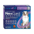 NexGard Spectra chewable tablets packaging for dogs, suitable for 15.1-30 kg weight range, effective flea and heartworm prevention.