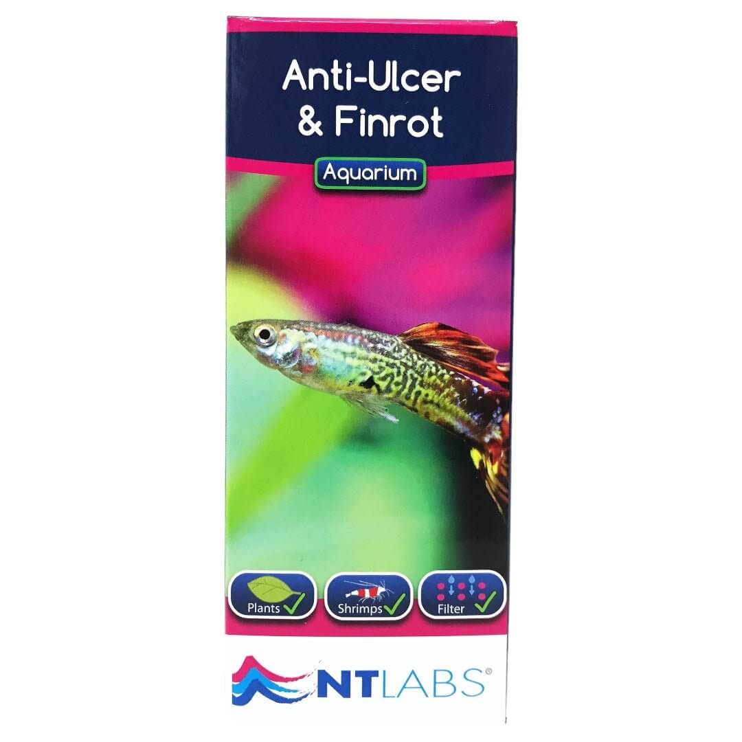 NT Labs Anti-Ulcer and Finrot treatment for bacterial infections in aquariums featuring tropical fish.
