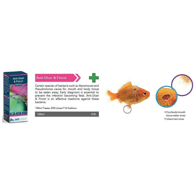 NT Labs Anti-Ulcer and Finrot treatment for bacterial infections in coldwater and tropical aquariums.