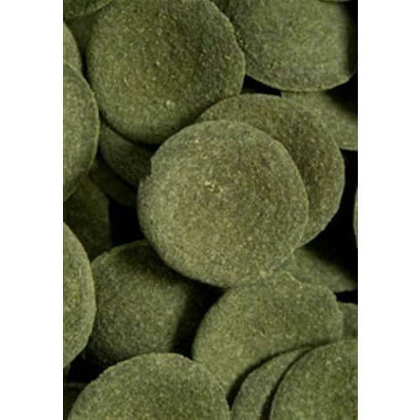 Ocean Nutrition Algae Wafers in green, circular pellets, ideal diet for herbivorous fish and sucker-mouth species.