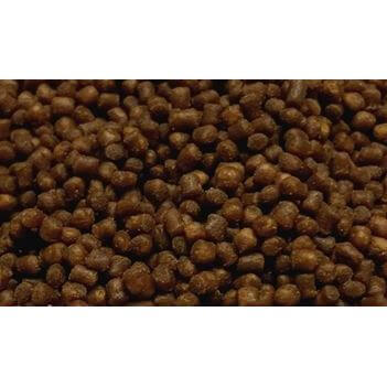 Ocean Nutrition Coral Pellets close-up, showcasing the soft, semi-moist texture for optimal coral nutrition and easy digestion.