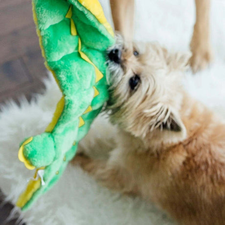 dog playing with Outward Hound Squeaker Matz Gator toy on a fluffy rug, showcasing its vibrant green and yellow design.