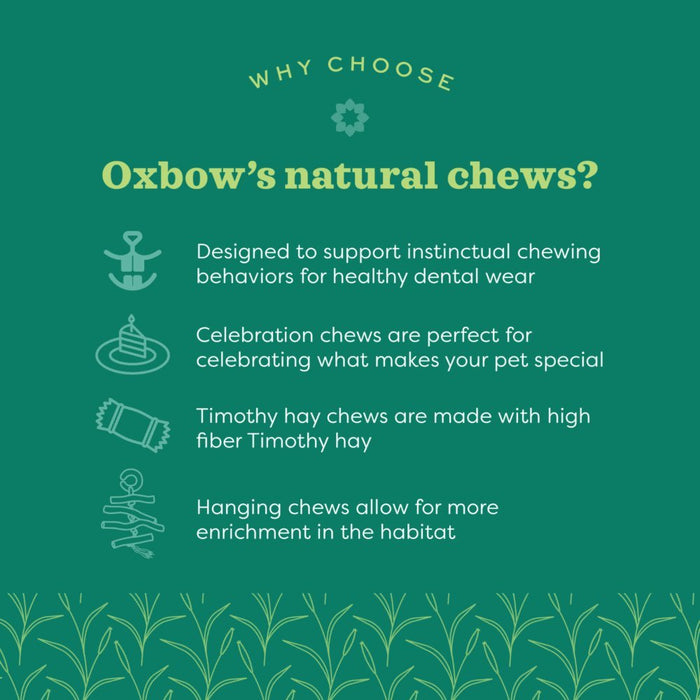 Oxbow Enriched Life Apple Stick Bouquet - Buy Online - Jungle Aquatics
