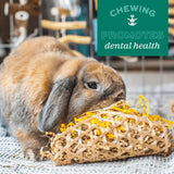 Rabbit enjoying Oxbow Celebration Cupcake, promoting dental health through safe chewing activities.
