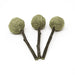 Oxbow Enriched Life Timmy Pops 3 Pack - Buy Online - Jungle Aquatics