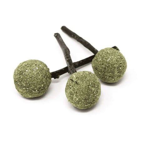 Oxbow Enriched Life Timmy Pops 3 Pack, natural pet chew toys made with Timothy hay and twigs.