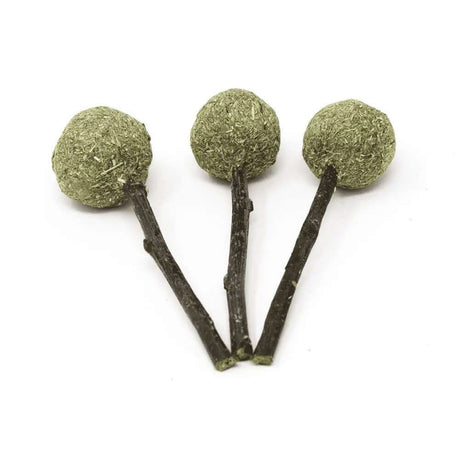 Oxbow Enriched Life Timmy Pops 3 Pack, pet-safe chew toys made from Timothy hay and natural materials.