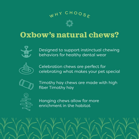 Oxbow's natural chews benefits infographic highlighting dental health and enrichment for small pets.